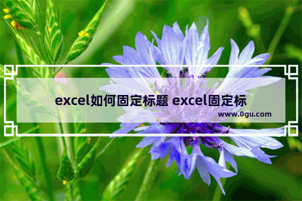 excel如何固定标题 excel固定标题的方法