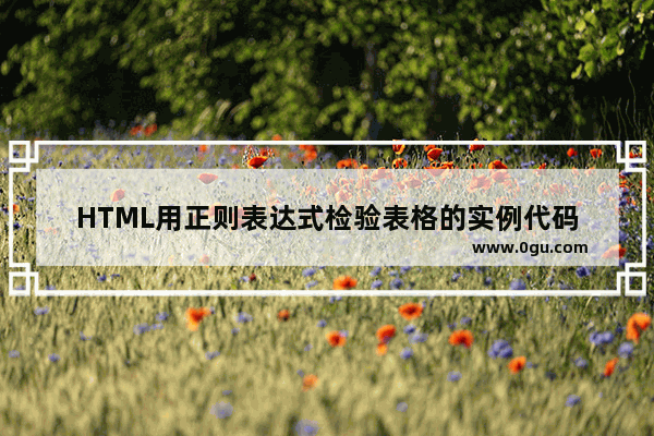 HTML用正则表达式检验表格的实例代码