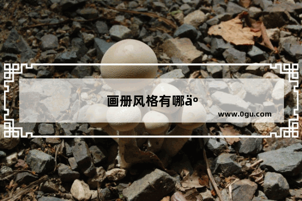 画册风格有哪些
