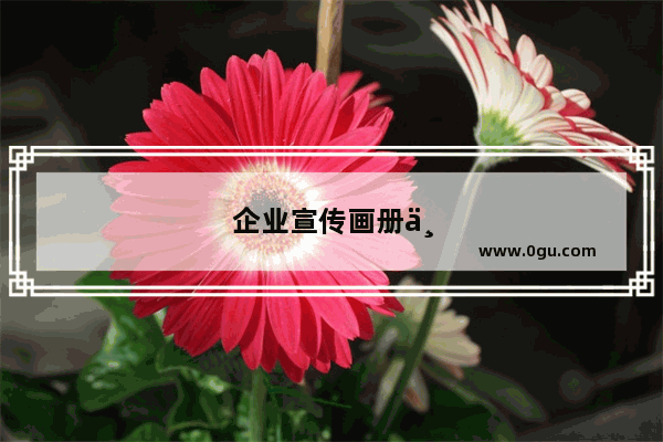 企业宣传画册不能改动的内容是什么