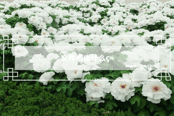 文件名由什么组成