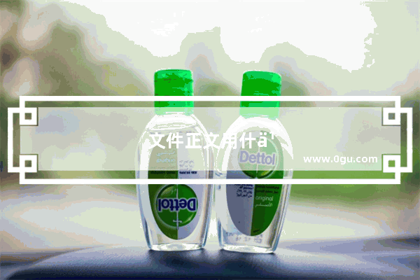文件正文用什么字体