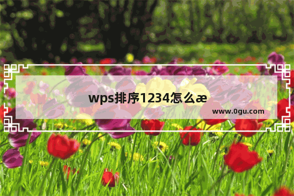wps排序1234怎么操作