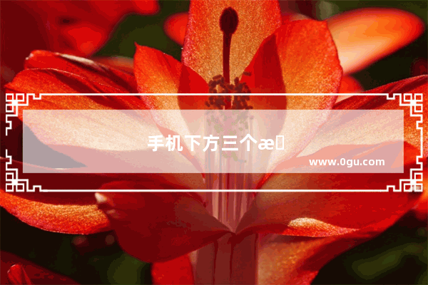 手机下方三个按键不见了