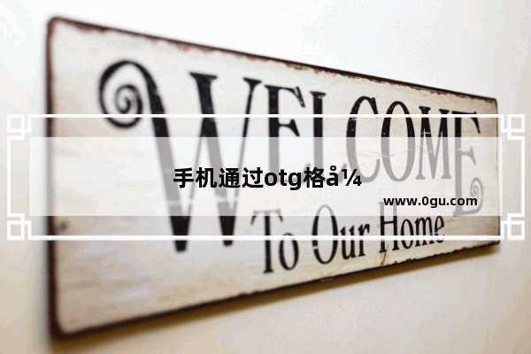 手机通过otg格式化u盘