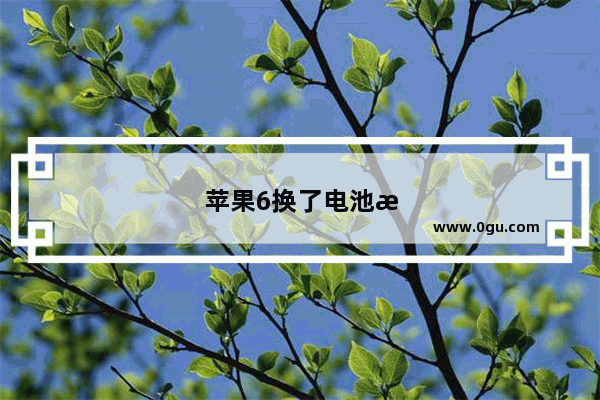 苹果6换了电池指纹不能用