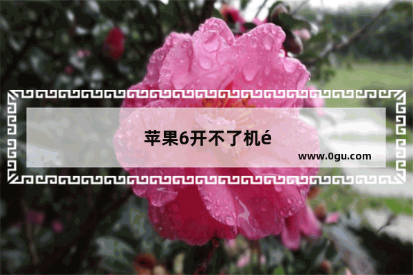 苹果6开不了机黑屏