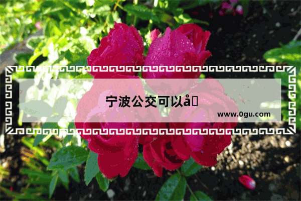 宁波公交可以刷支付宝吗