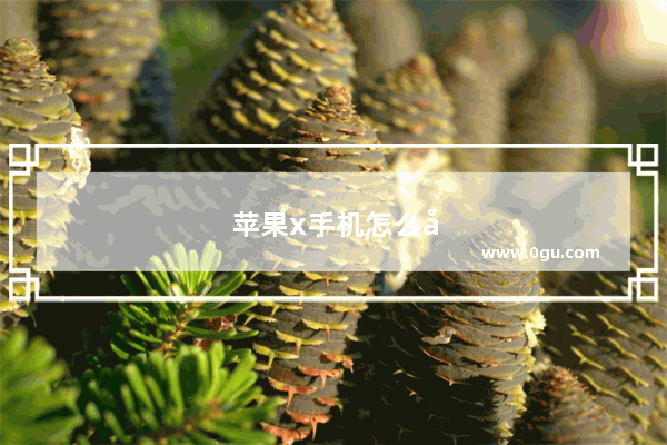 苹果x手机怎么关程序