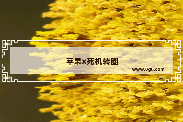 苹果x死机转圈