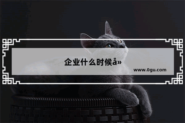 企业什么时候建站比较合适