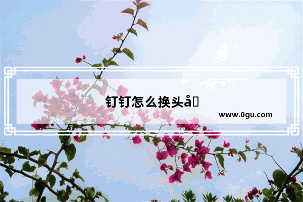 钉钉怎么换头像
