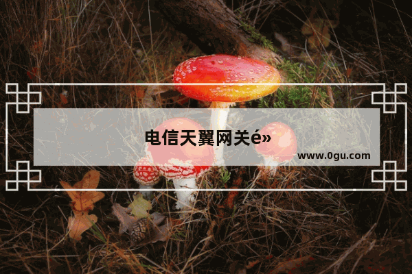 电信天翼网关默认密码