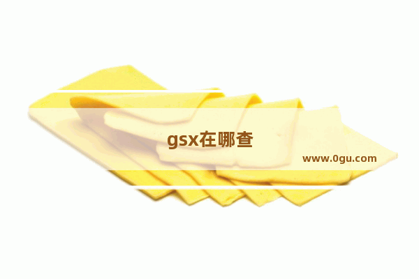 gsx在哪查