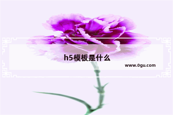 h5模板是什么