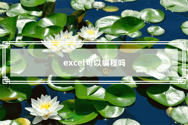 excel可以编程吗