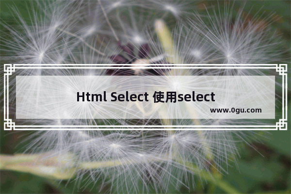 Html Select 使用selected属性设置默认选择项