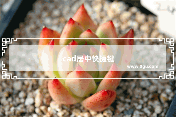 cad居中快捷键
