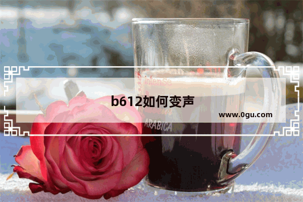 b612如何变声