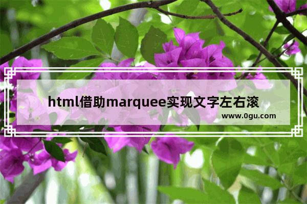html借助marquee实现文字左右滚动