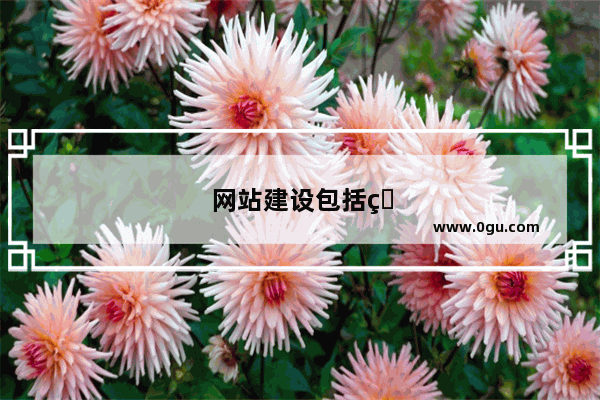 网站建设包括的内容有什么