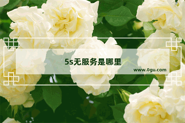 5s无服务是哪里坏掉了