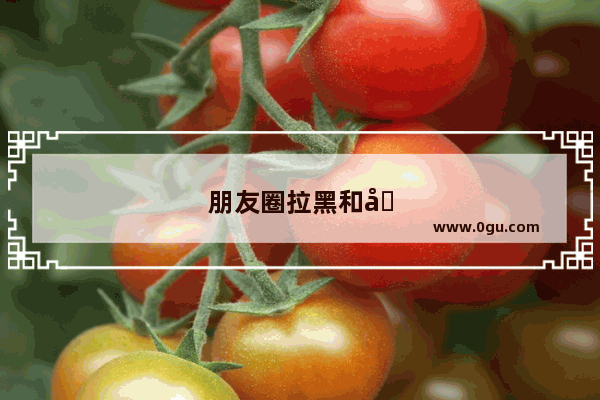 朋友圈拉黑和删除的区别