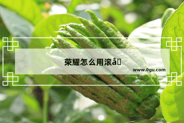 荣耀怎么用滚动截屏