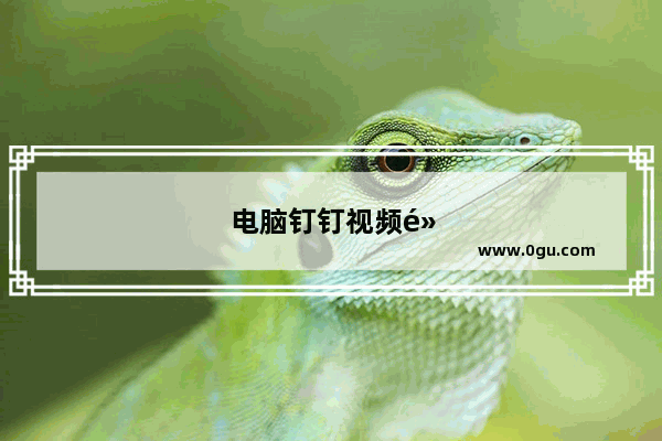 电脑钉钉视频黑屏什么原因