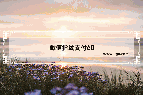 微信指纹支付自动关闭