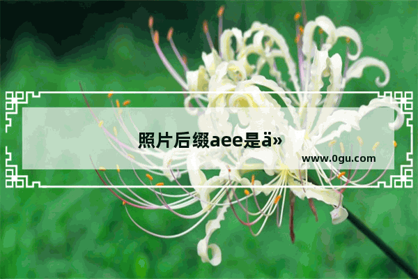 照片后缀aee是什么意思