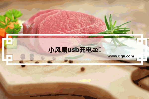 小风扇usb充电是什么意思