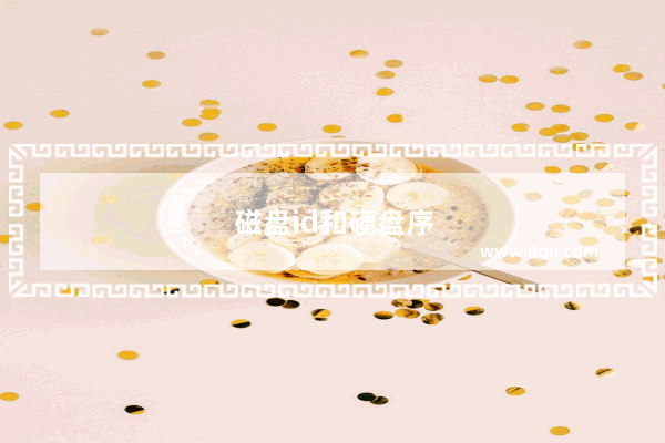 磁盘id和硬盘序列号一样吗
