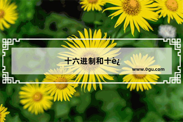 十六进制和十进制转换
