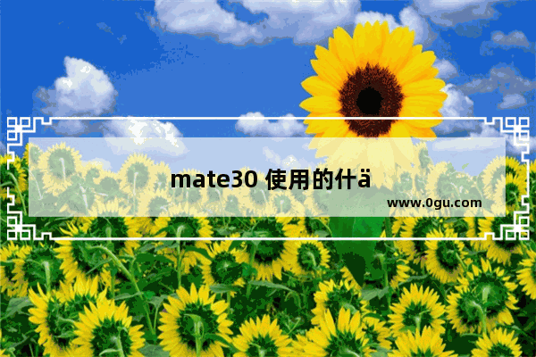mate30 使用的什么屏幕