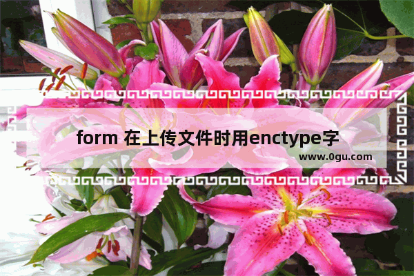 form 在上传文件时用enctype字段有什么用处