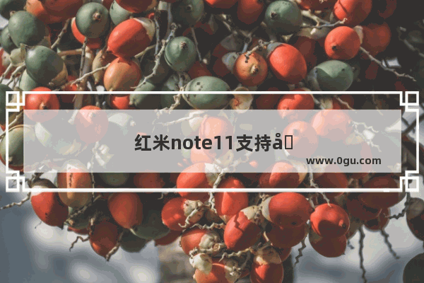 红米note11支持内存卡吗