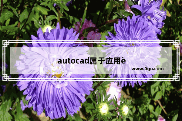 autocad属于应用软件吗