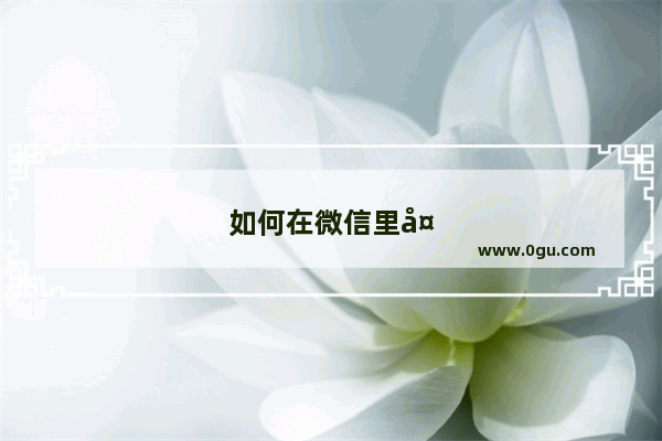 如何在微信里备注电话号码