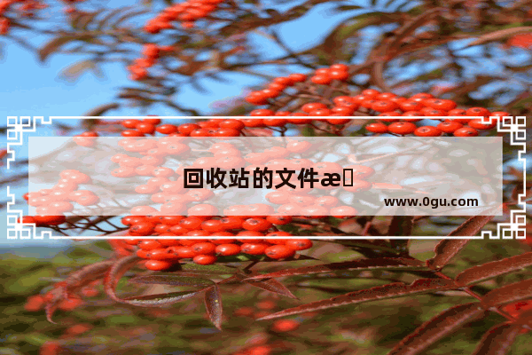 回收站的文件怎么恢复