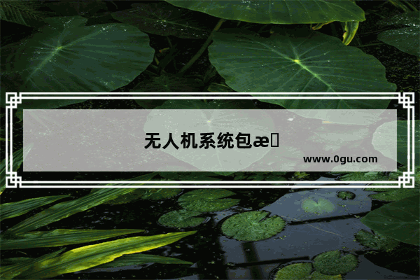 无人机系统包括哪五个系统