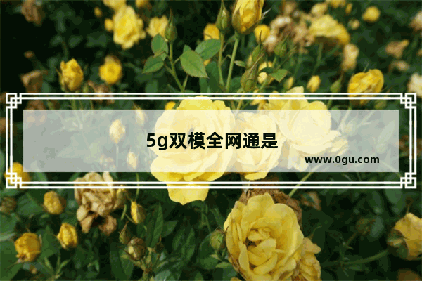 5g双模全网通是什么意思