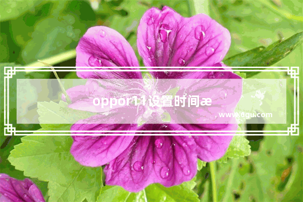 oppor11设置时间水印