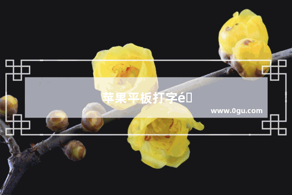 苹果平板打字键盘的中文怎么没有了