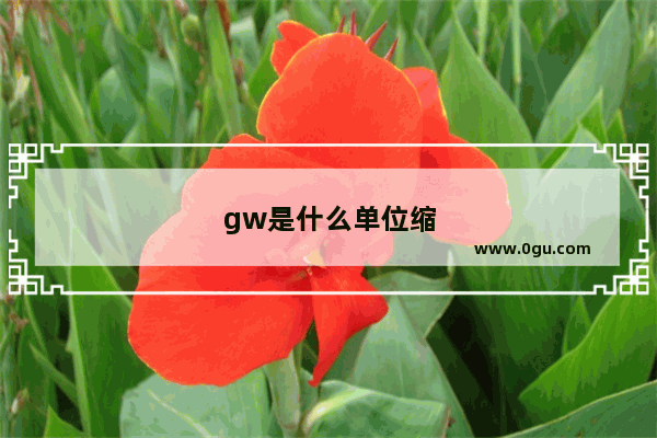 gw是什么单位缩写
