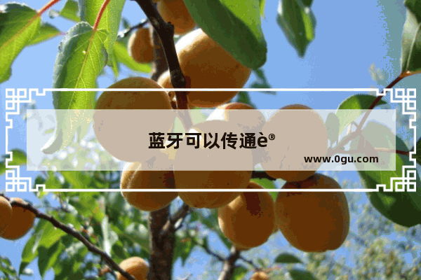 蓝牙可以传通讯录吗