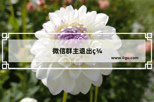微信群主退出群怎样恢复