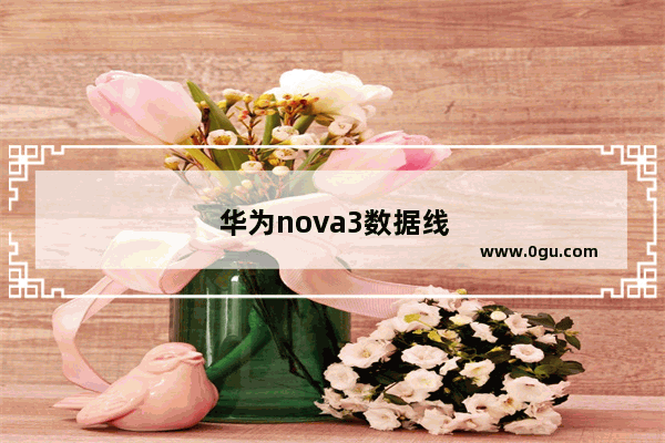 华为nova3数据线多长