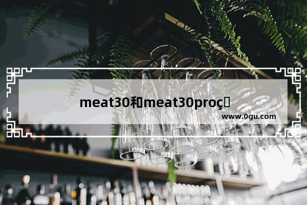 meat30和meat30pro的区别