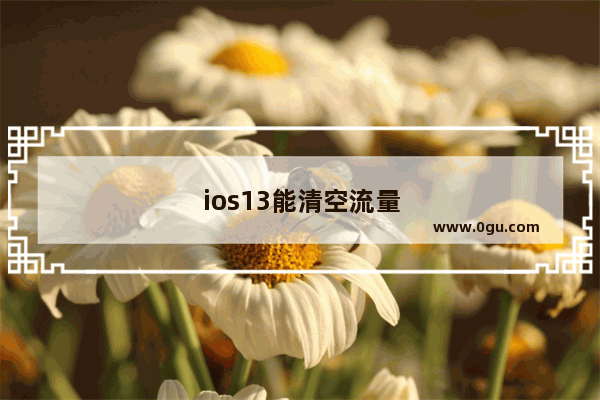 ios13能清空流量统计吗